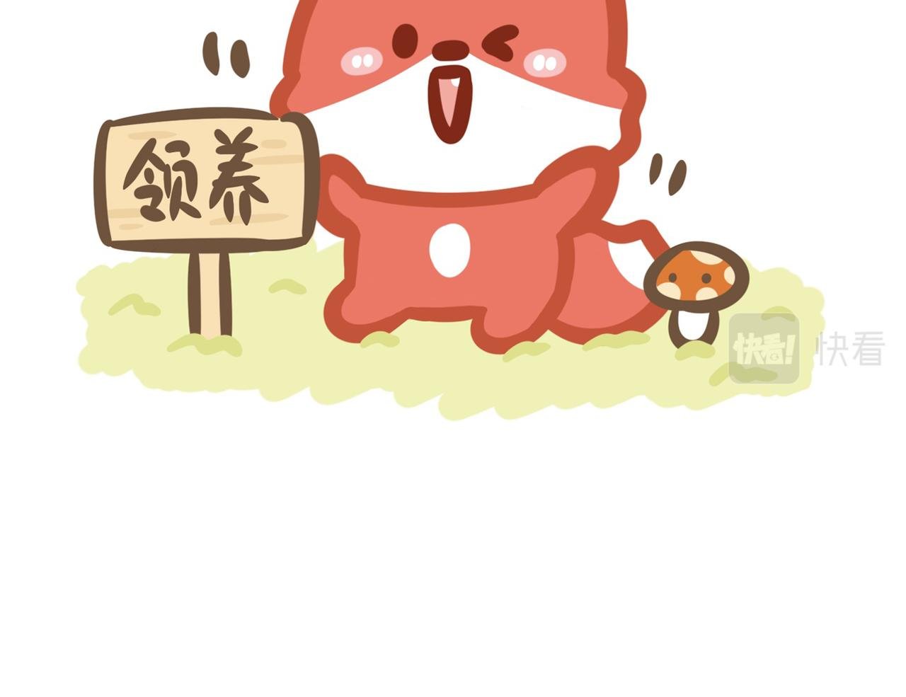 如何养好一只狐狸仔仔