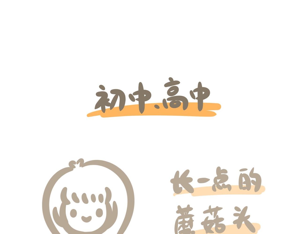 如何养好一只狐狸仔仔