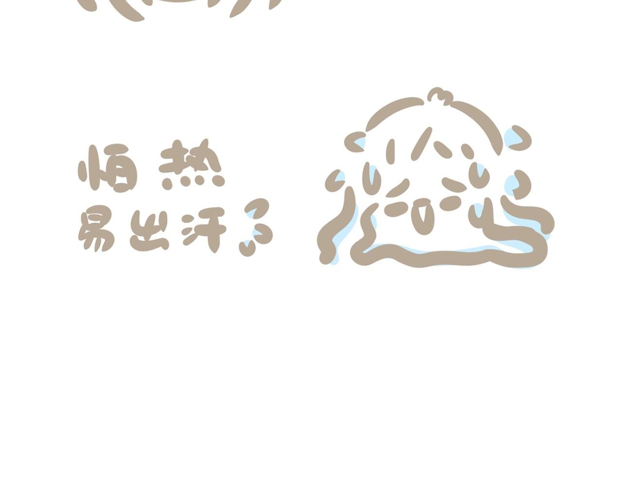 如何养好一只狐狸仔仔