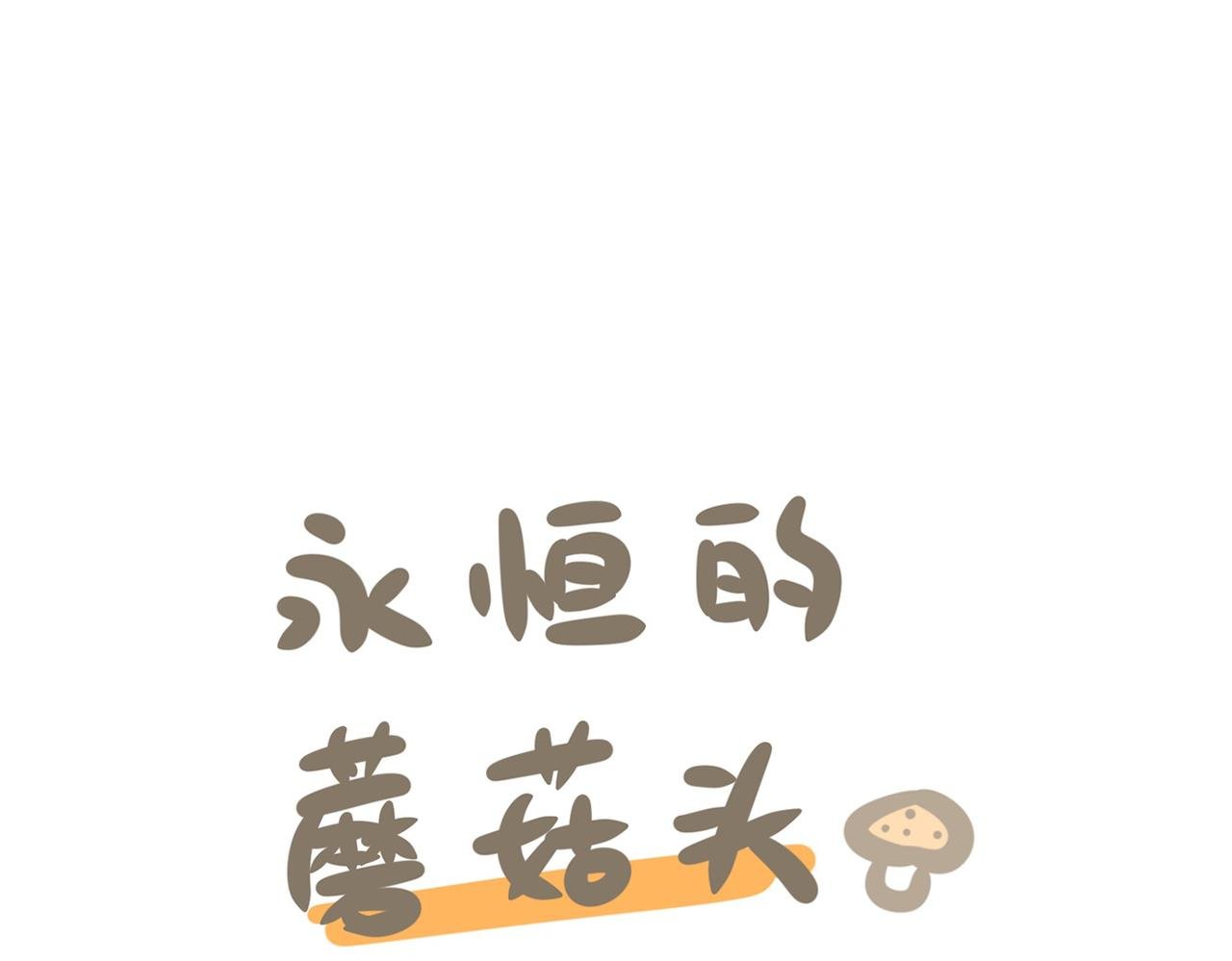 如何养好一只狐狸仔仔