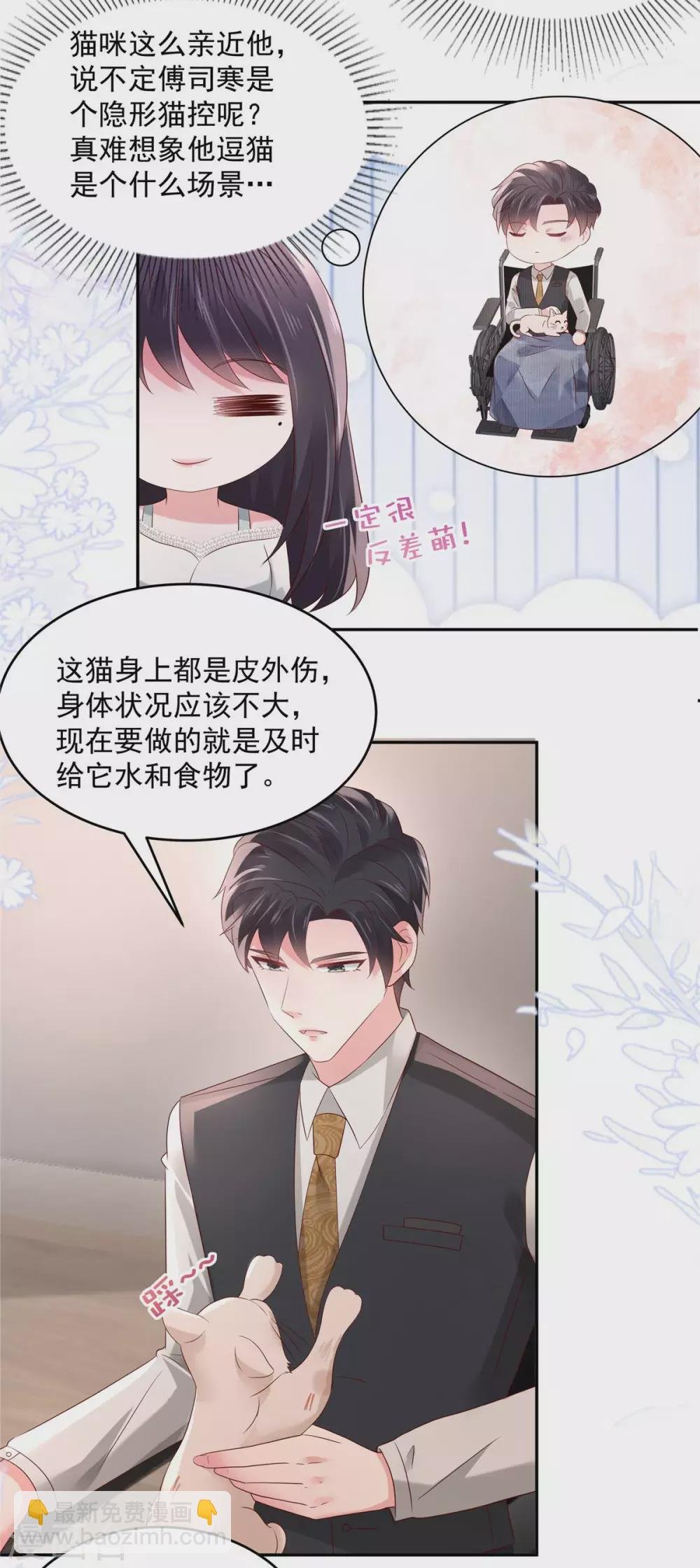 第58话 捡了只小猫咪