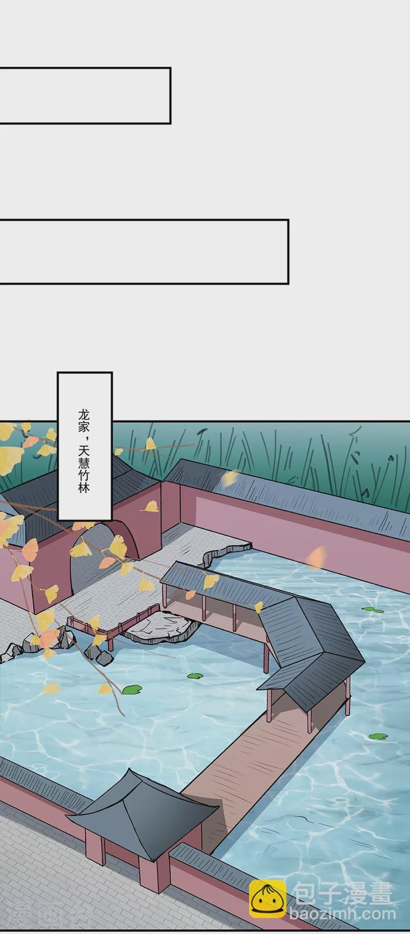 第336话 离开龙家