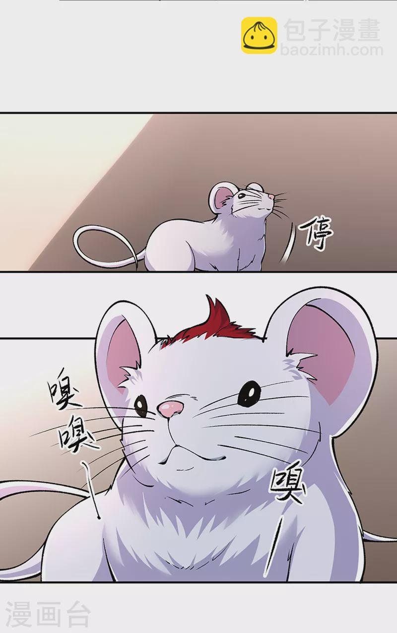 第446话 捅了寻宝鼠窝