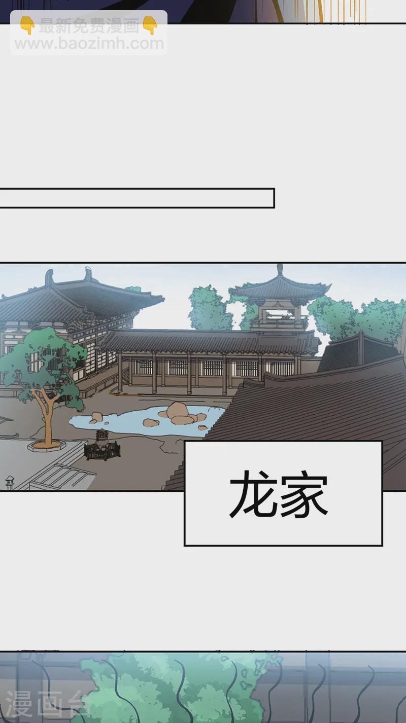 第530话 龙家出事