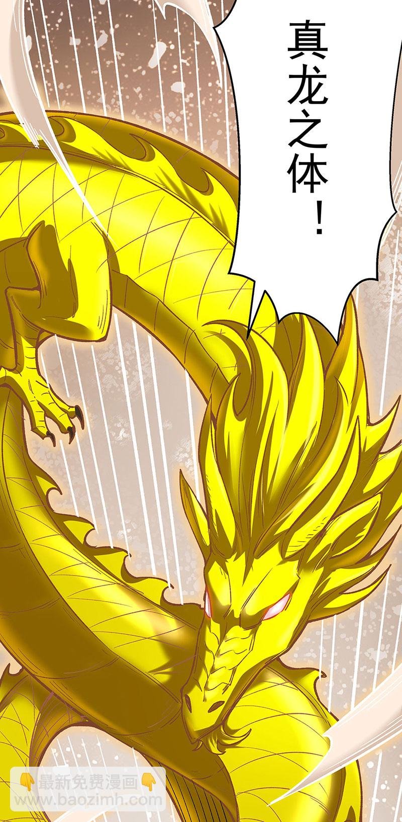 第600话 金乌卵