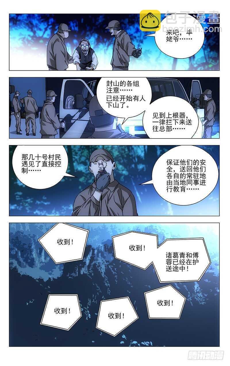 291 肉灵芝