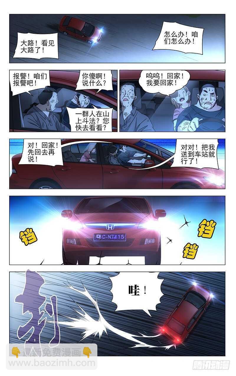 291 肉灵芝