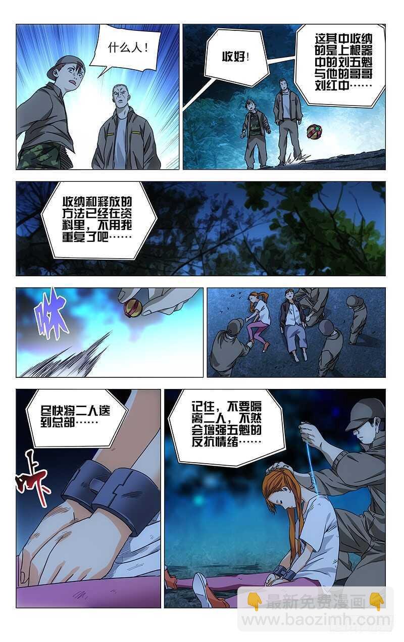 291 肉灵芝