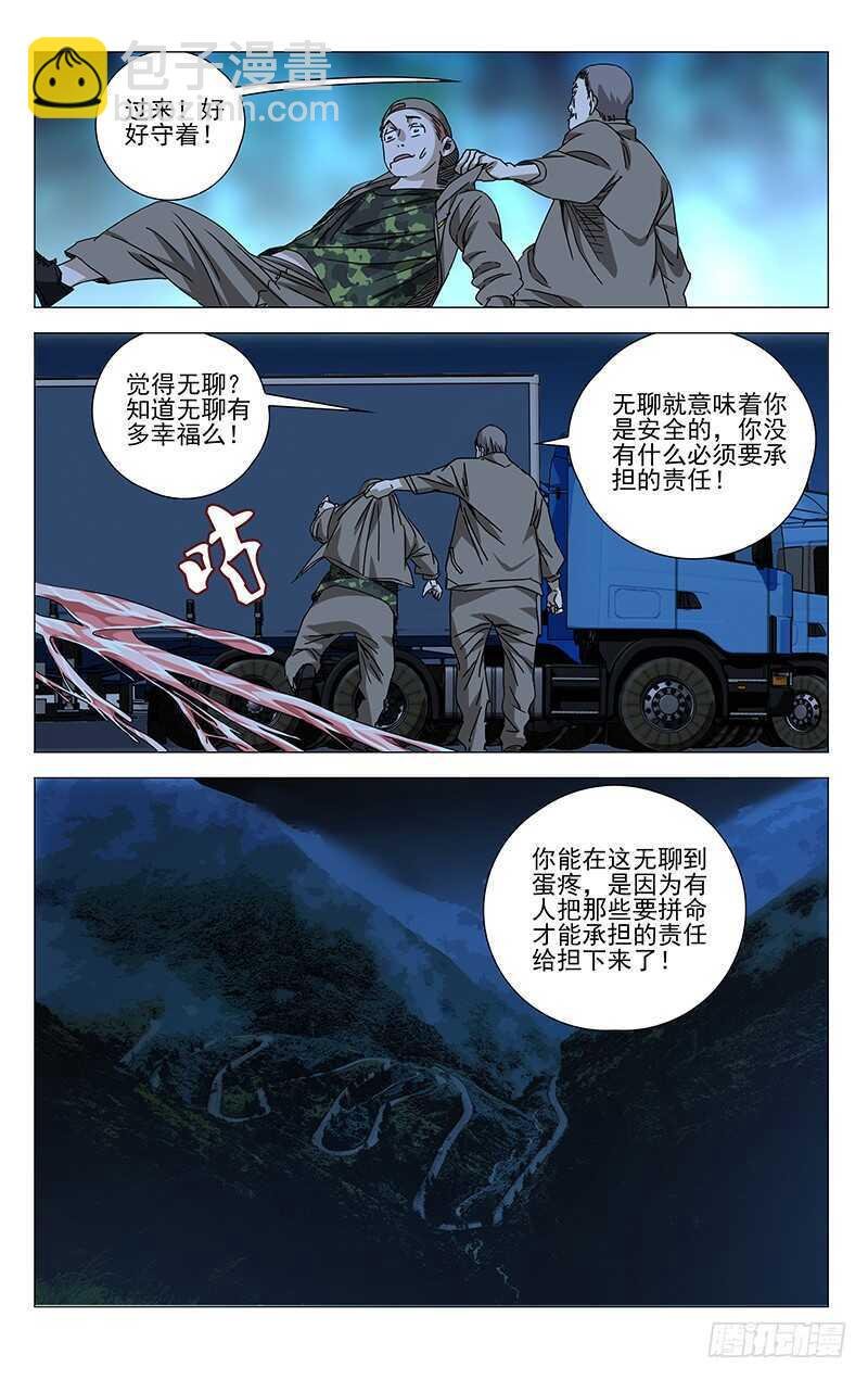 291 肉灵芝