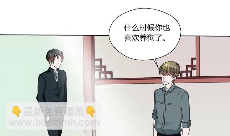第17话 打脸！！！