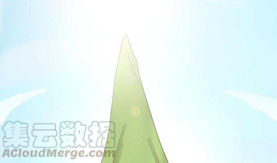 第219话 武林大会