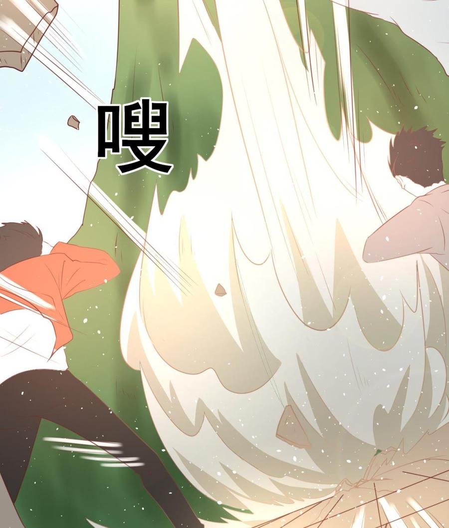 第219话 武林大会