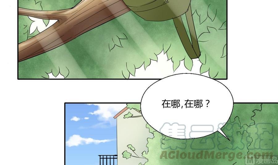 第71话 寻找证据