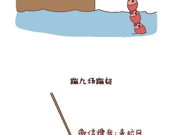 第121话 一辈子想和另一半做的事情