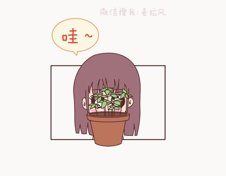 第127话 我就喜欢不那么好的你