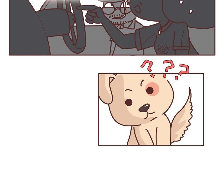 第271话 驾照