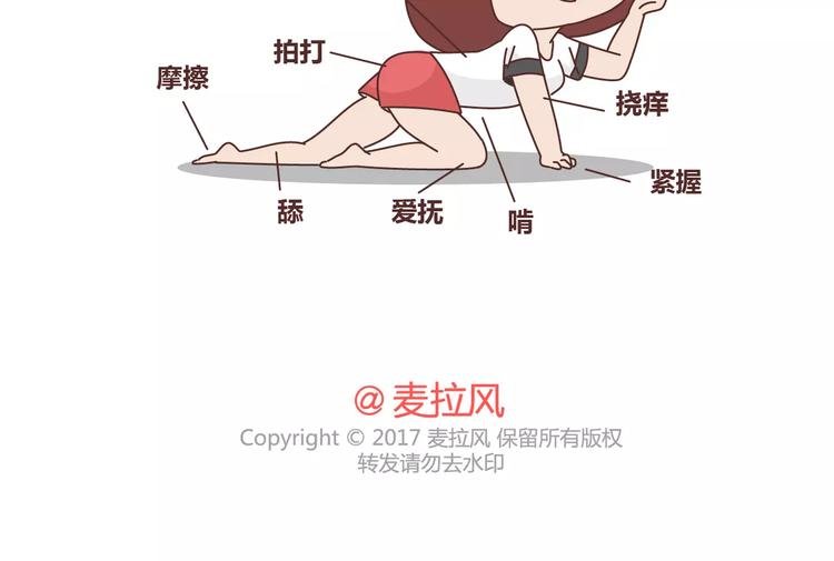 第311话 女朋友使用说明书