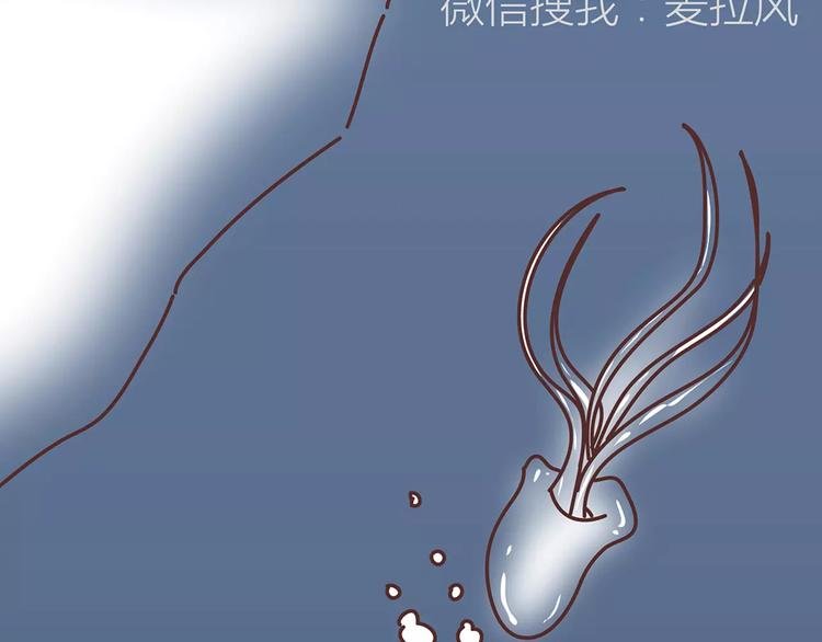 第317话 因为是女子