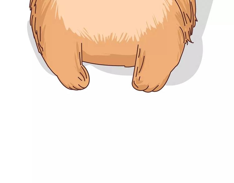 第375话 犬系老公大分类