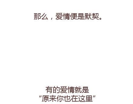 第65话 爱情是什么