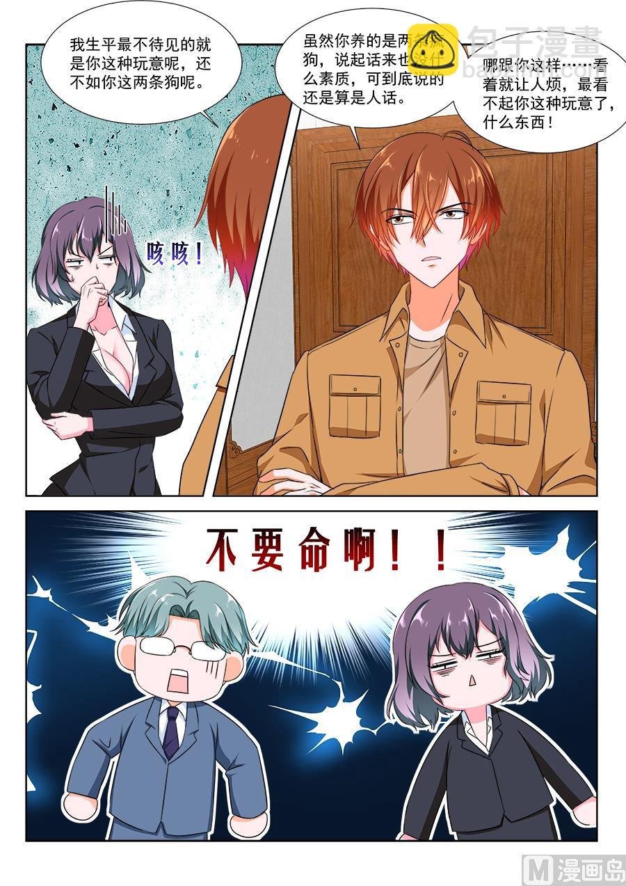 黑豹盛汤