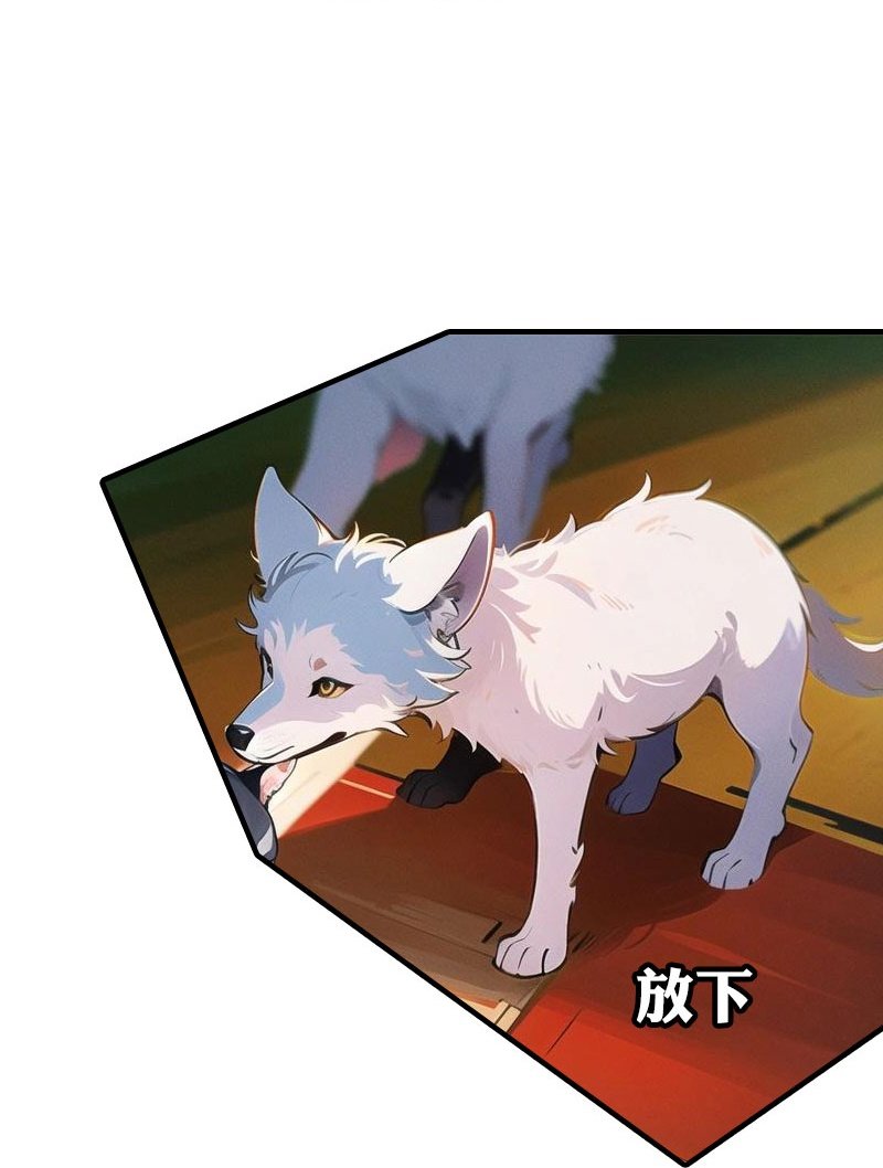 第200话 狼王赛