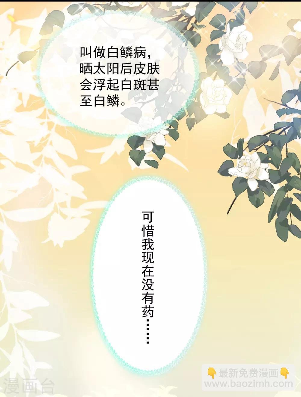 第19话 两个稀有发色就该在一起？