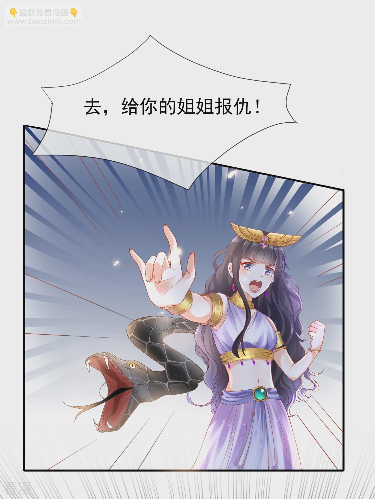 第36话 我的宠物都能吊打你