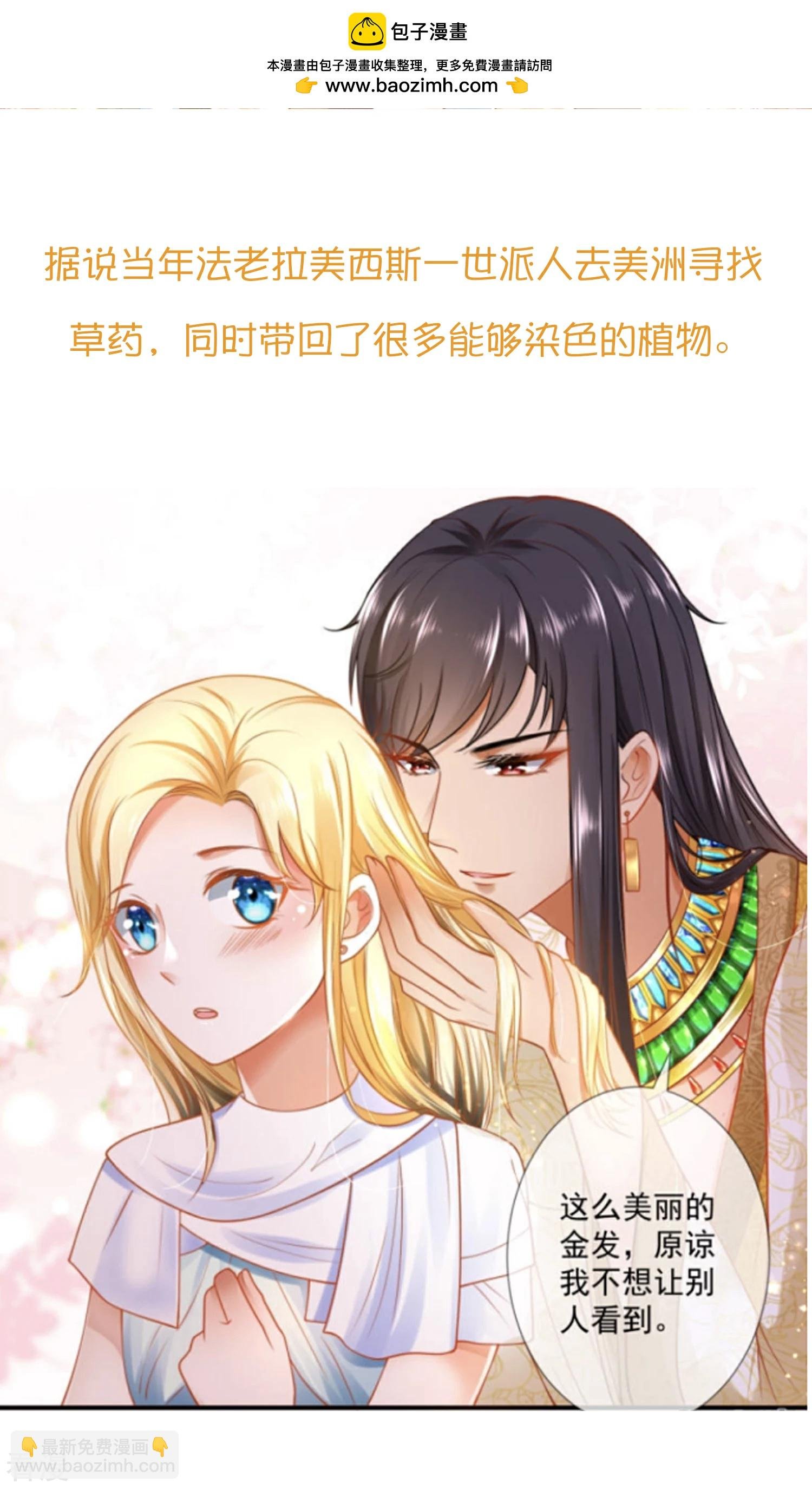 王的茶话会27 爱美之染发史