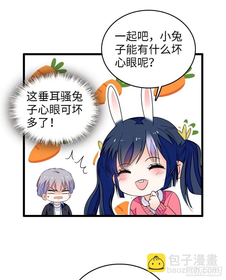 144 麻雀与垂耳兔