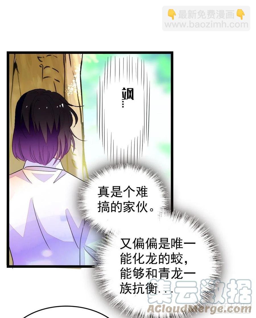 196 小兔叽失踪