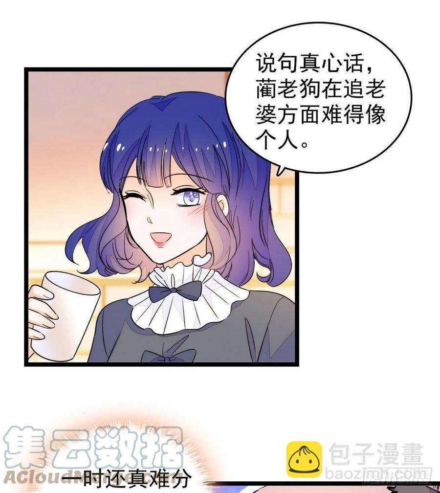 196 小兔叽失踪