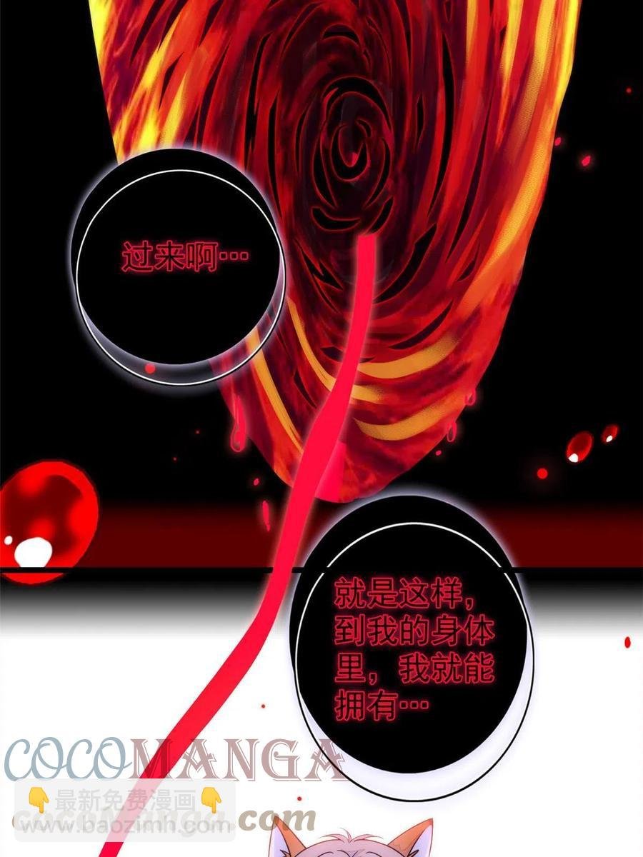 205 蔺洲，我想见白泽……