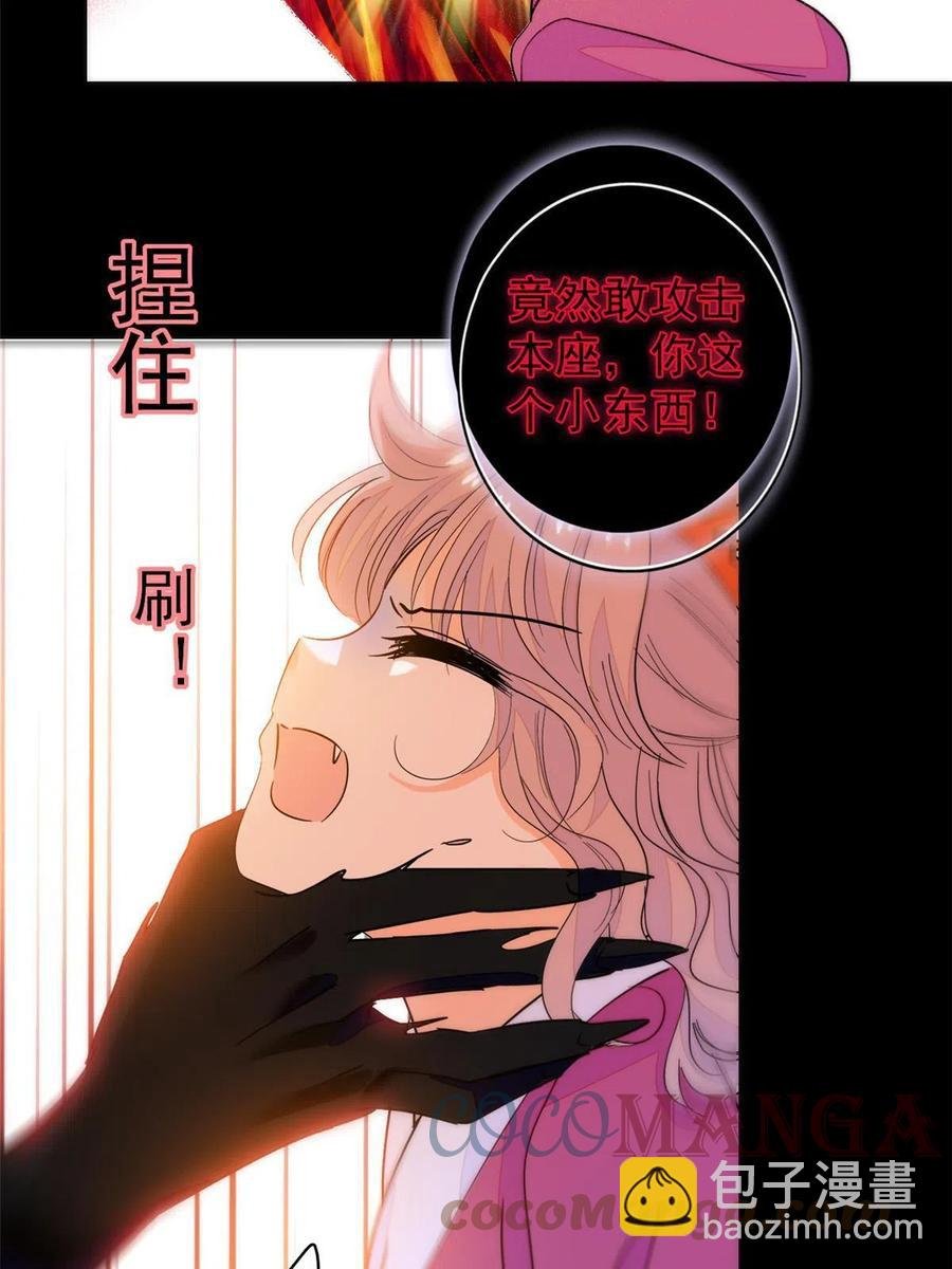 205 蔺洲，我想见白泽……