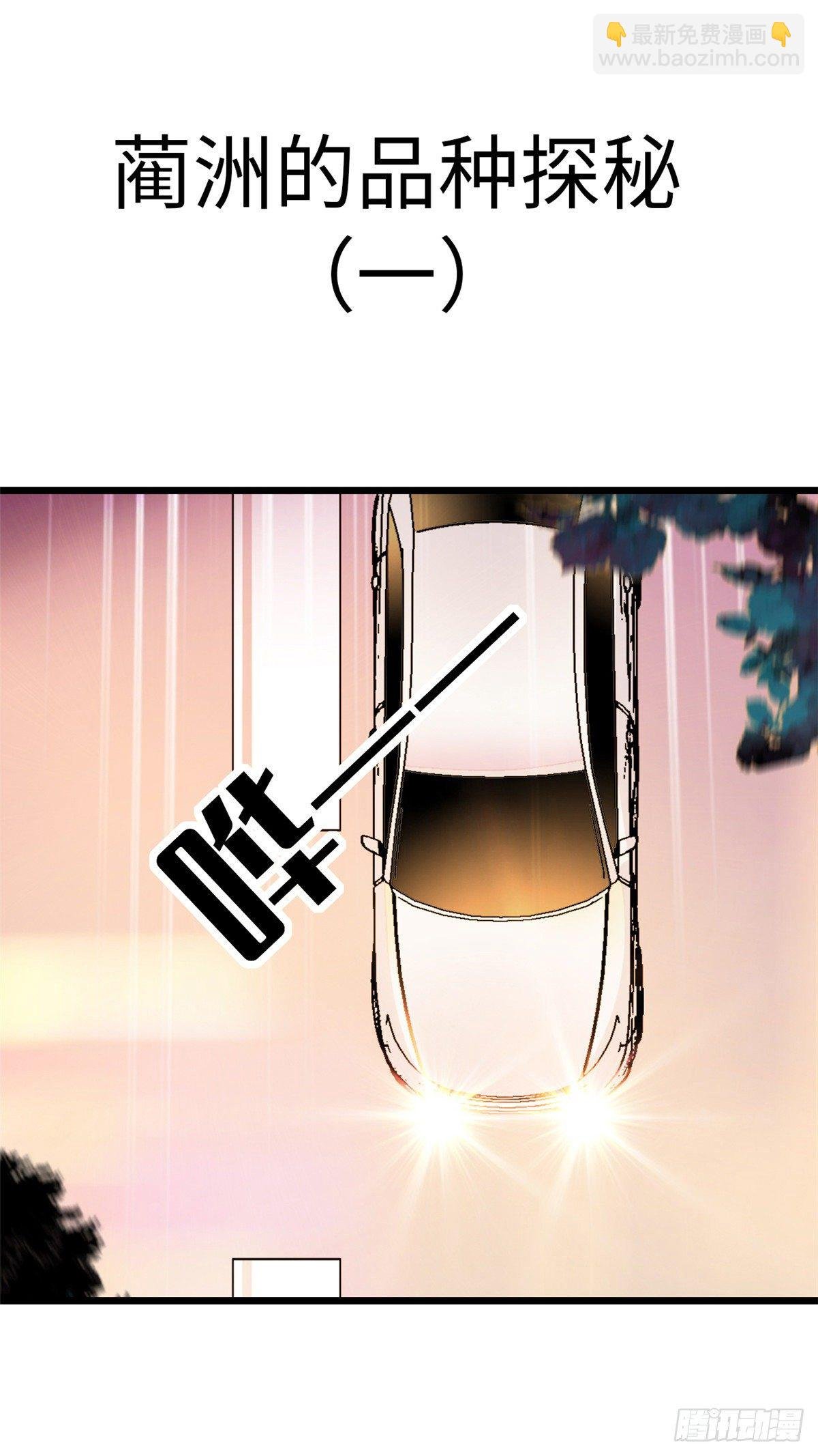 035.5 蔺洲品种大探秘！