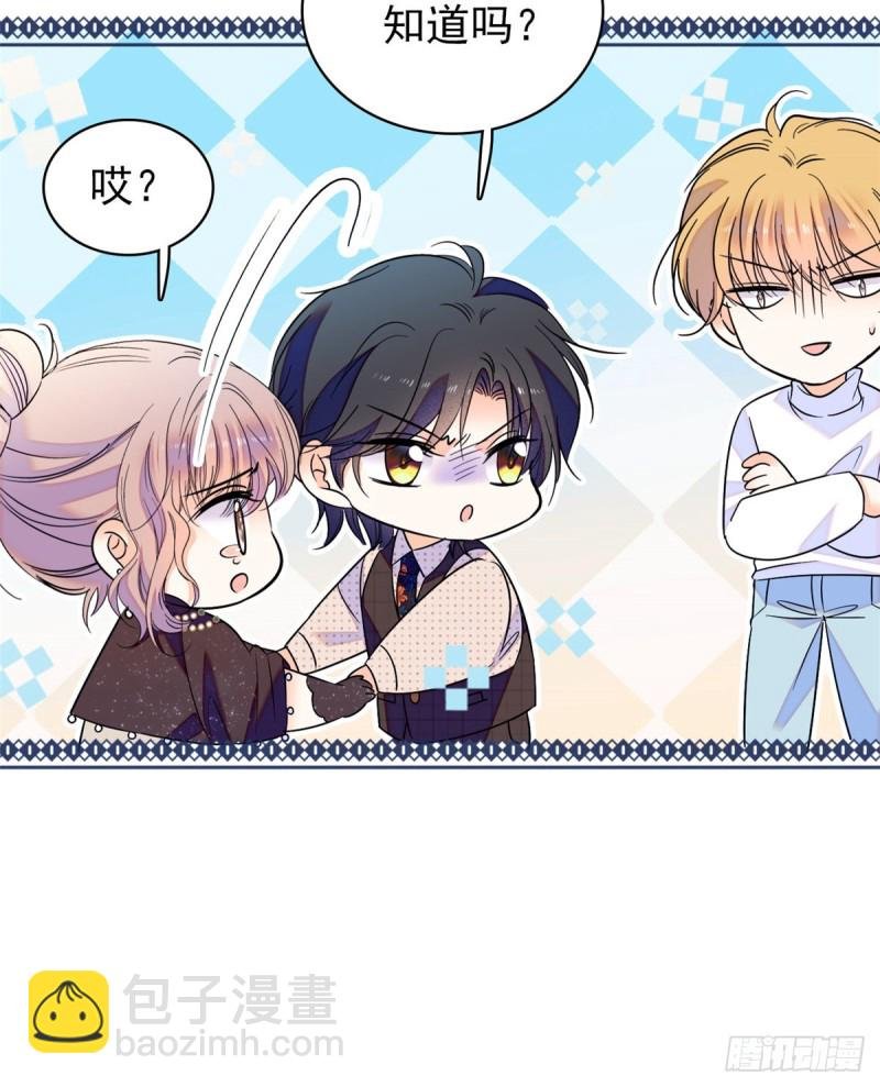 065 我会保护好蔺洲的