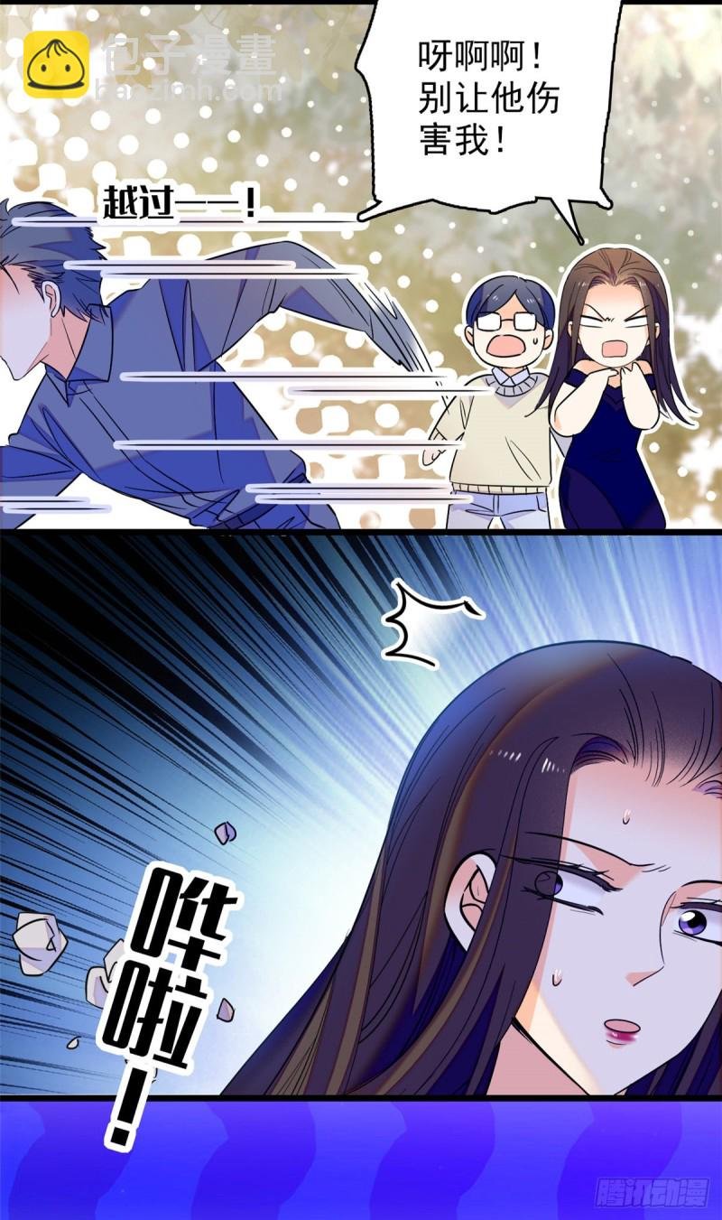 065 我会保护好蔺洲的