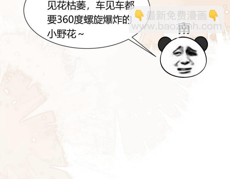 000预告