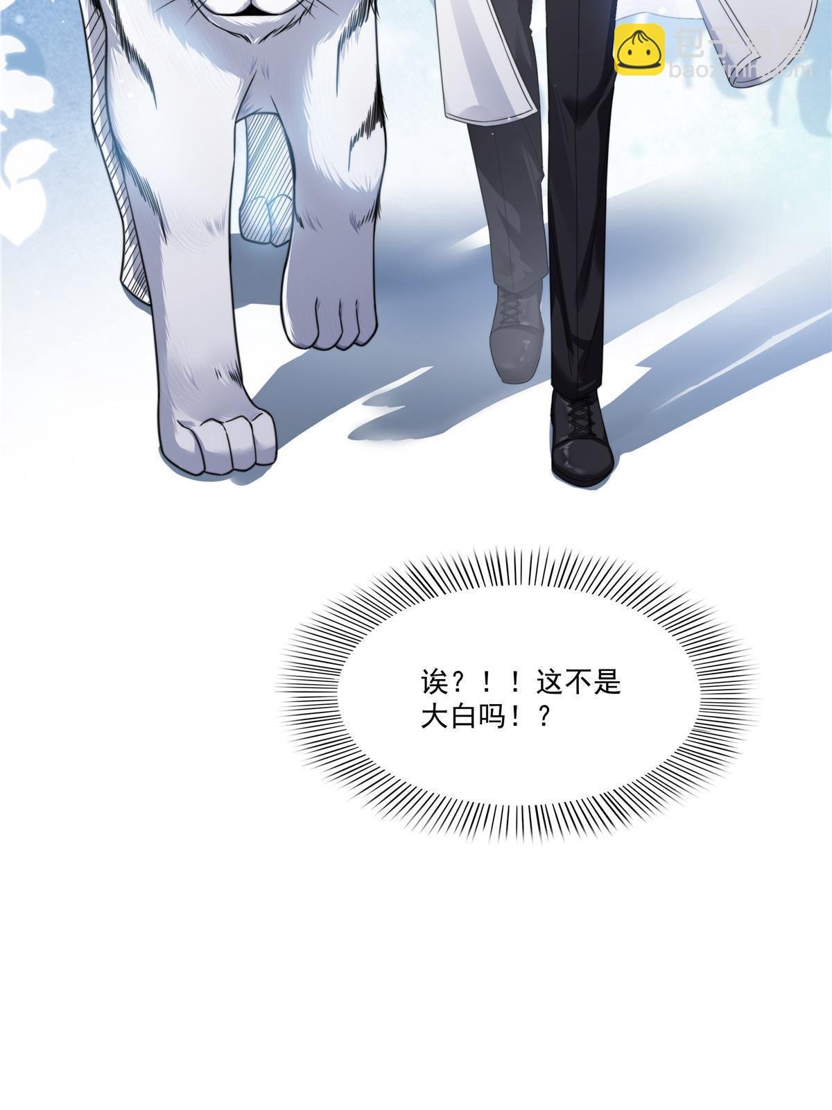 第277话 也是你的宠物