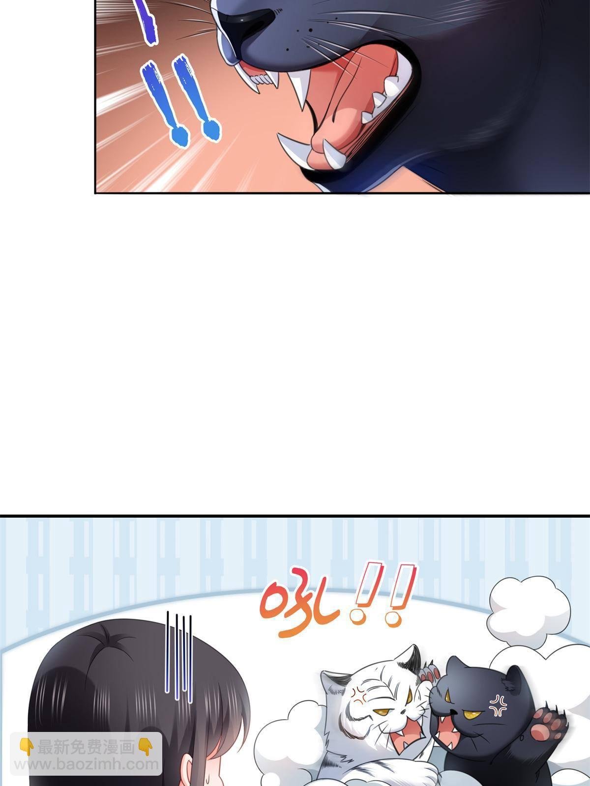 第278话 大白和小黑