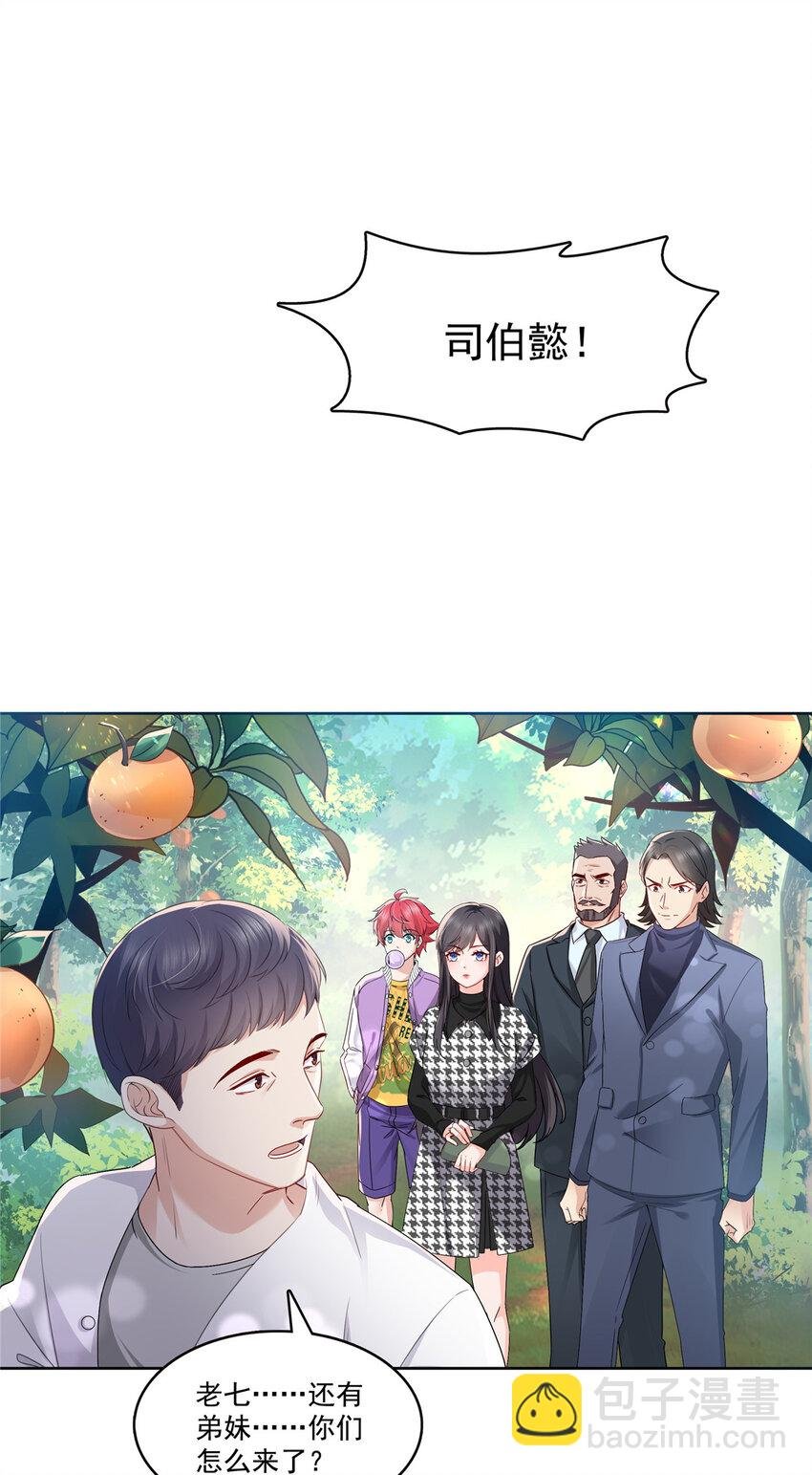 399 司家来历