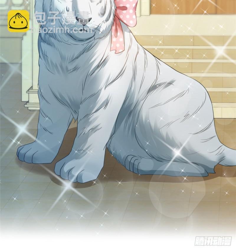 第七十一话 猎物进套