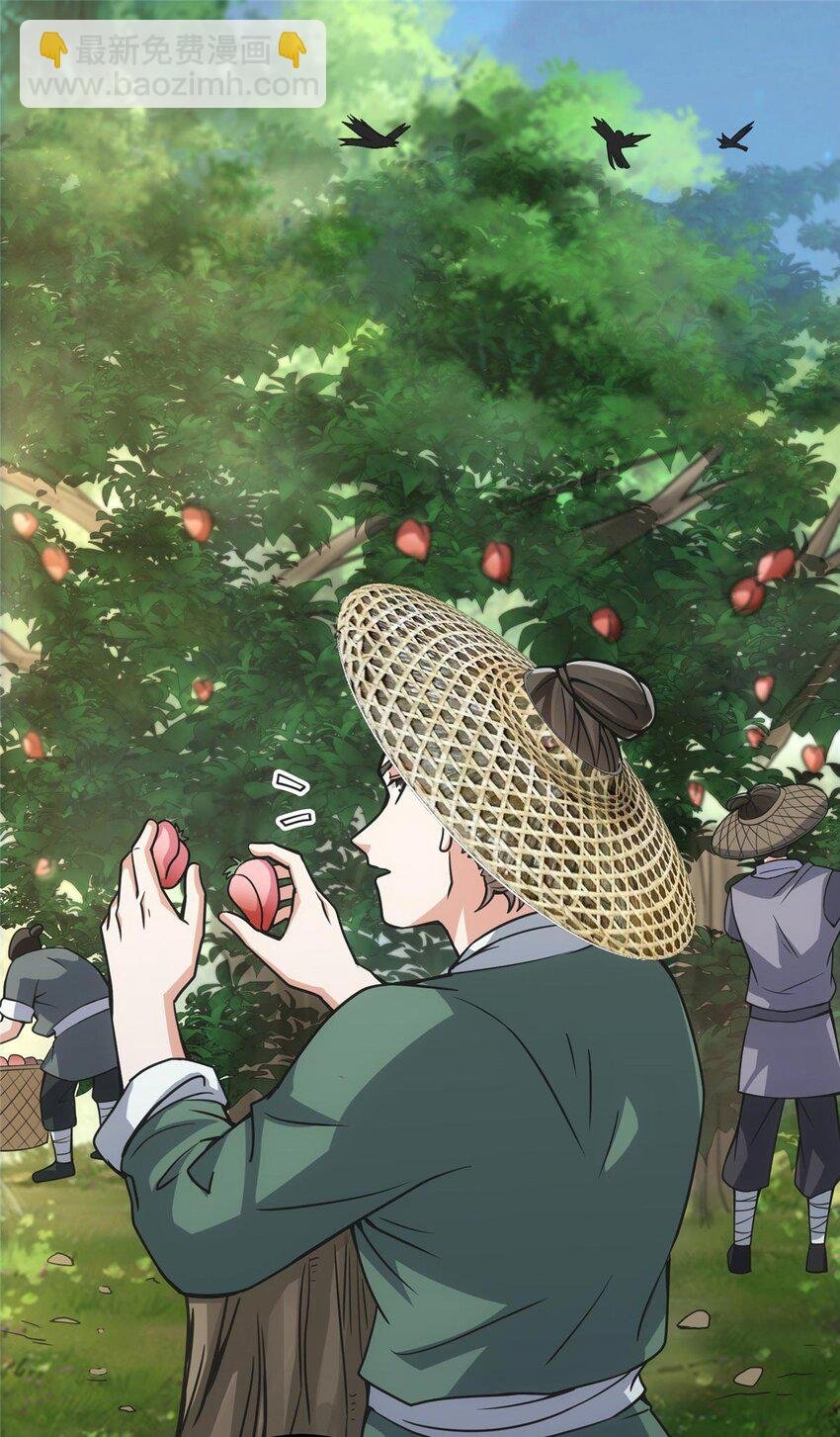 100 群鸟灾祸