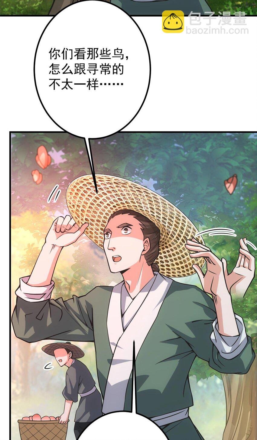 100 群鸟灾祸