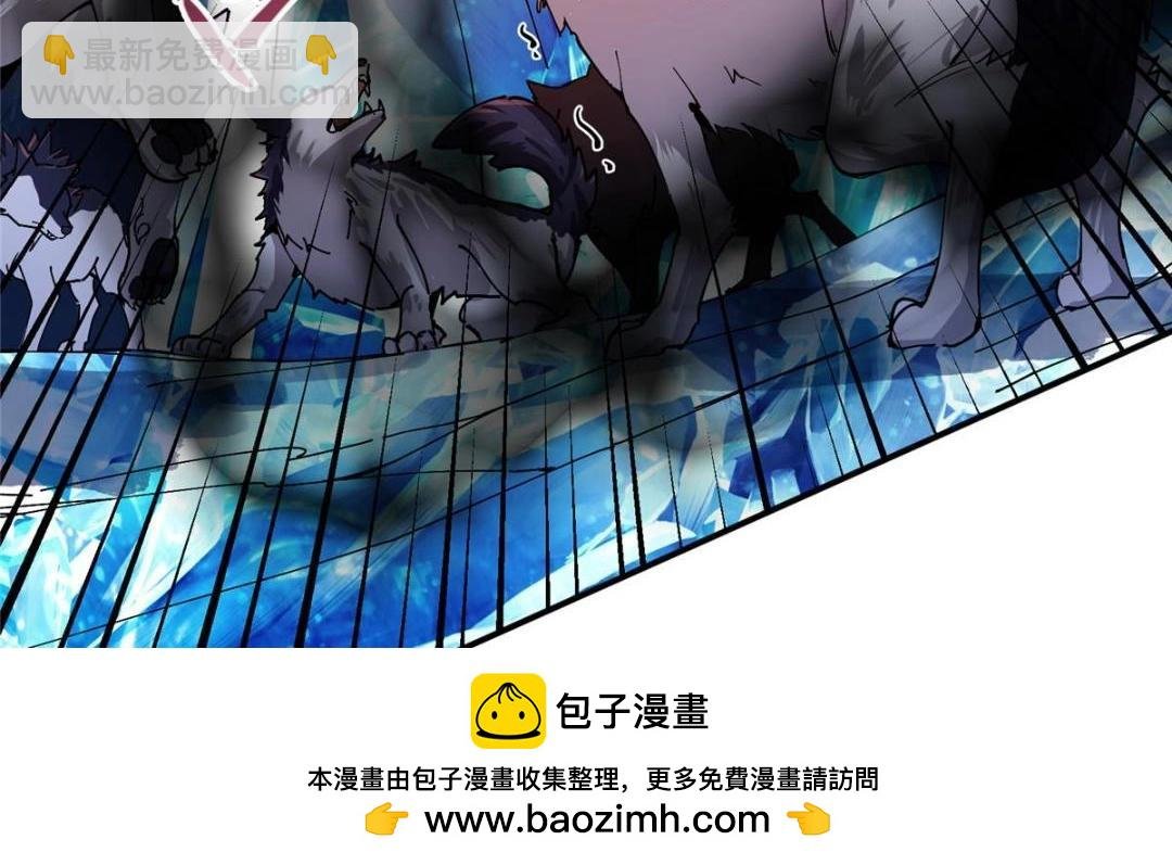 231 北州主线任务结算了！