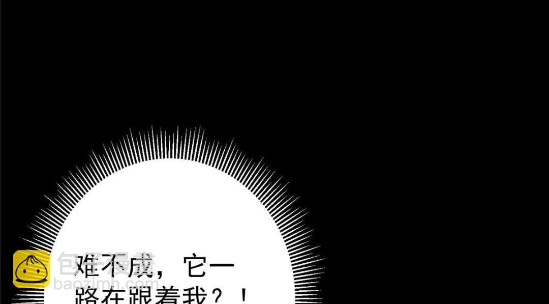 242 万一是美人塔主呢？