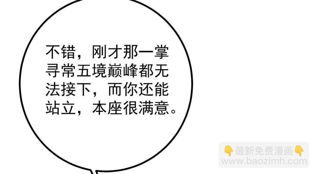 267 这如同山岳的强者