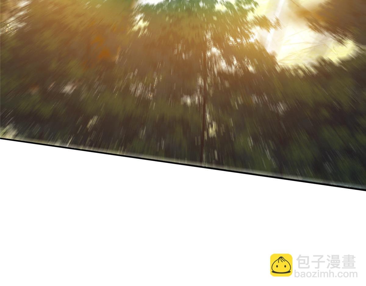 291 六境大佬真正的剑域