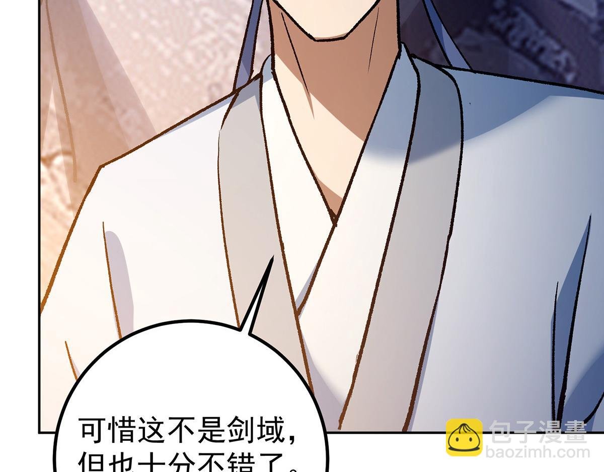 295 居然真有双剑域？