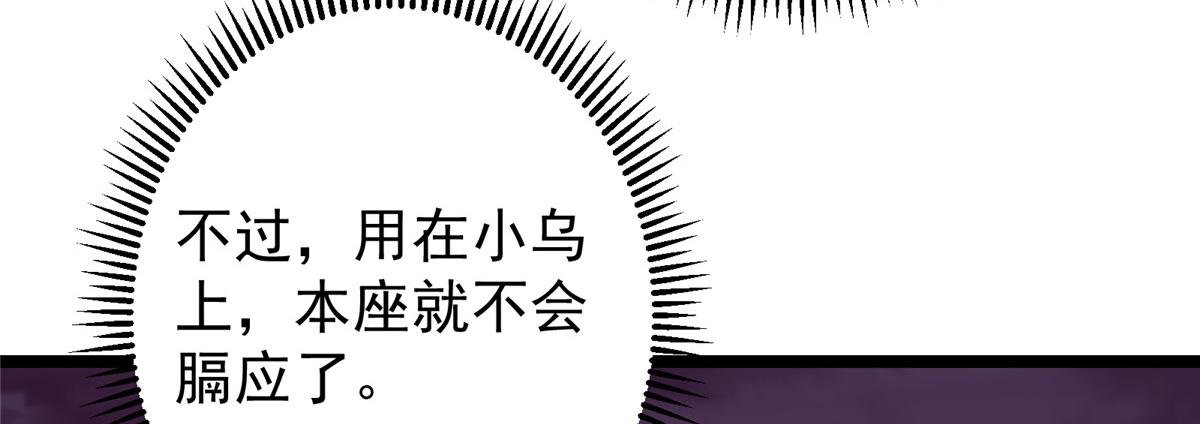 499 楚伊人的纯爱之域